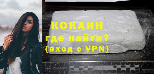 индика Володарск
