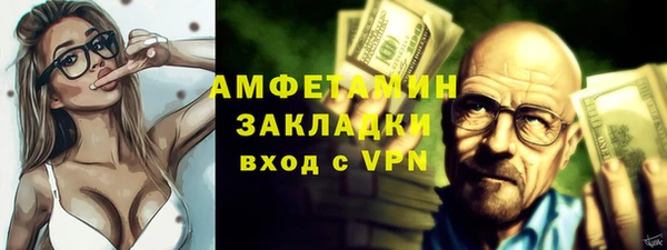 индика Володарск