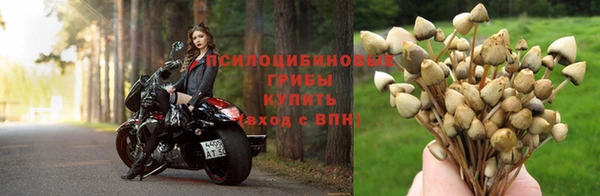 индика Володарск
