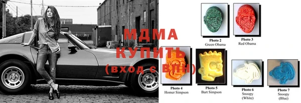 индика Володарск