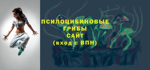 PSILOCYBIN Волоколамск