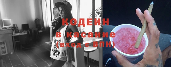 индика Володарск