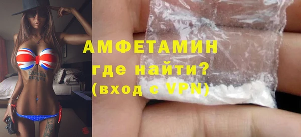 индика Володарск