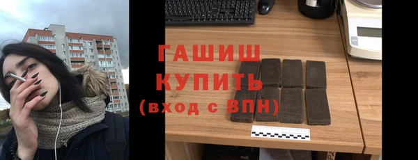 индика Володарск