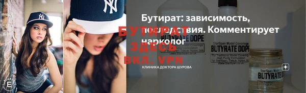 индика Володарск