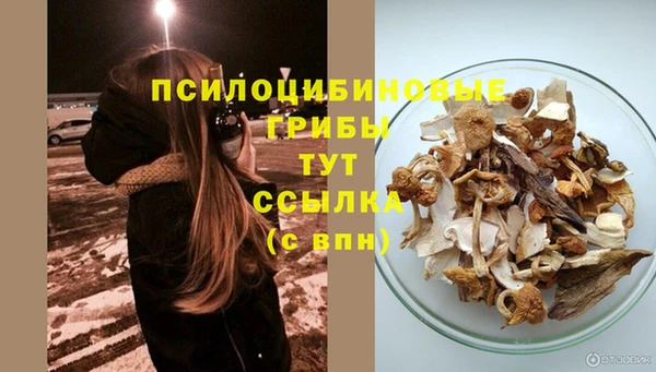 индика Володарск