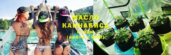 индика Володарск