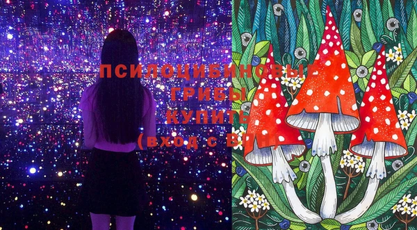 индика Володарск