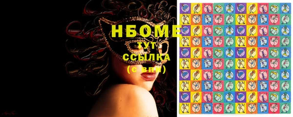 индика Володарск