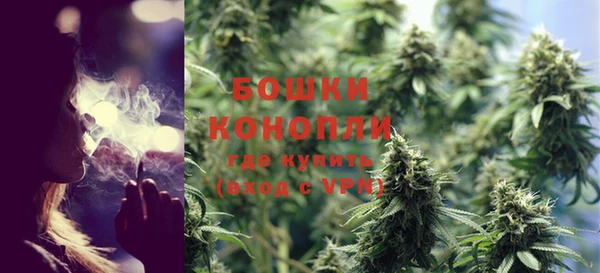 индика Володарск