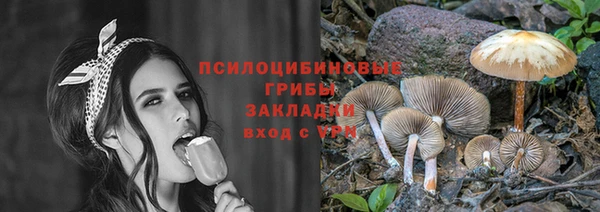 PSILOCYBIN Волоколамск