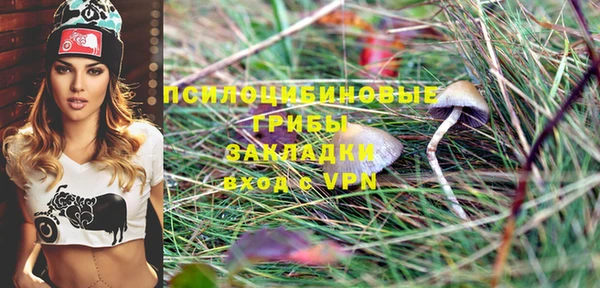 PSILOCYBIN Волоколамск