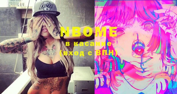 индика Володарск