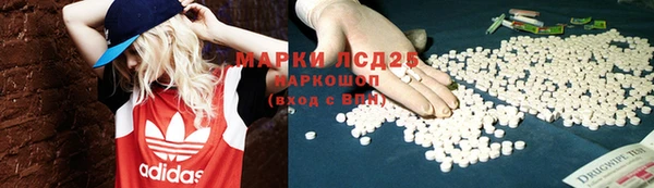 гашик Волосово